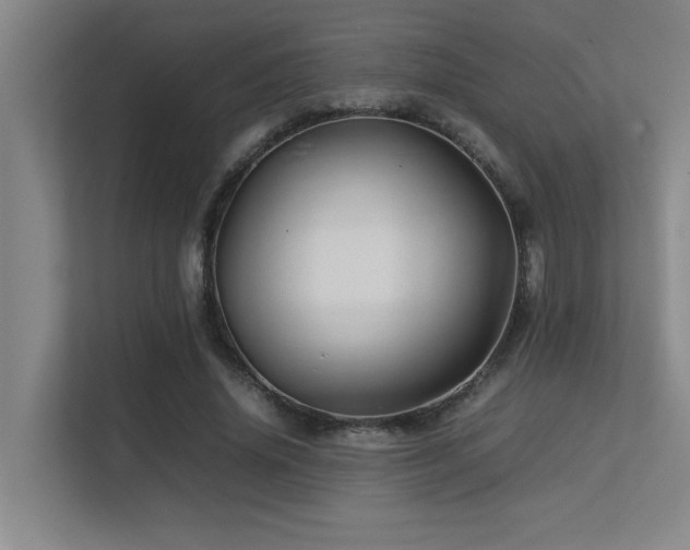 X0000113210636200909101133