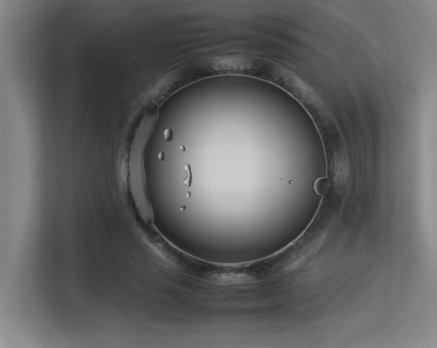 X0000113210637200909101133