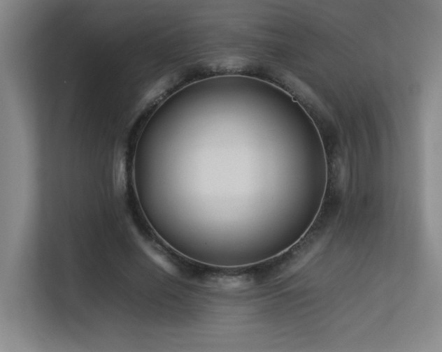 X0000113210638200909101133