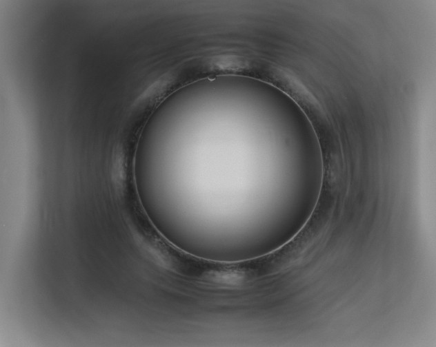 X0000113210639200909101133