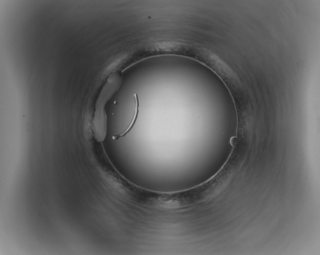 X0000113210640200909101133