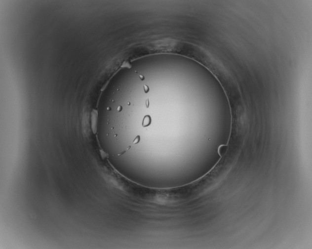 X0000113210641200909101133