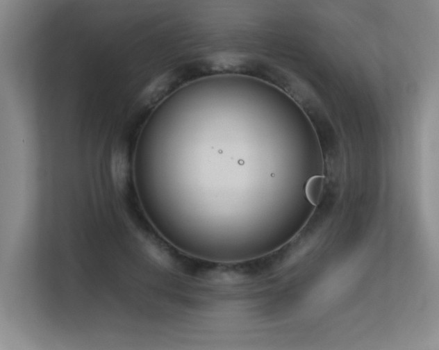 X0000113210648200909101133