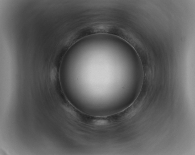 X0000113210649200909101133