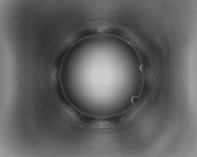 X0000113210650200909101133