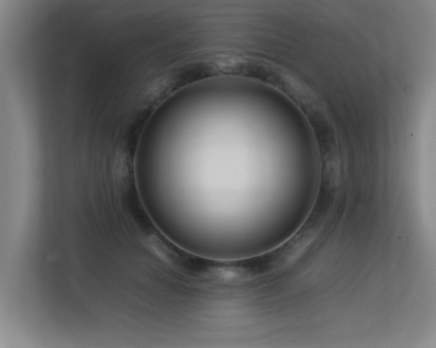 X0000113210654200909101133