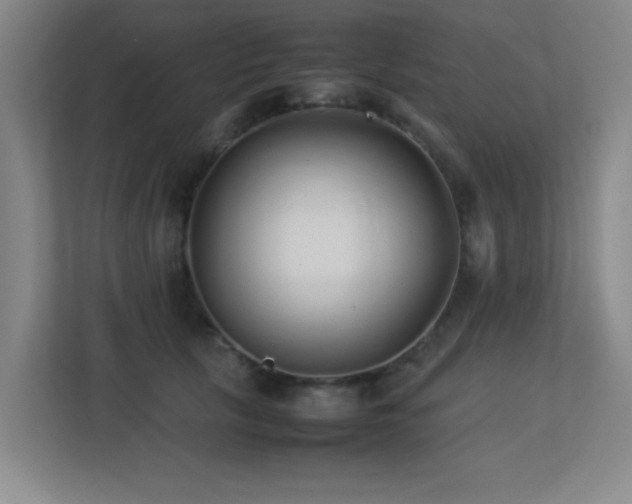 X0000113210657200909101133