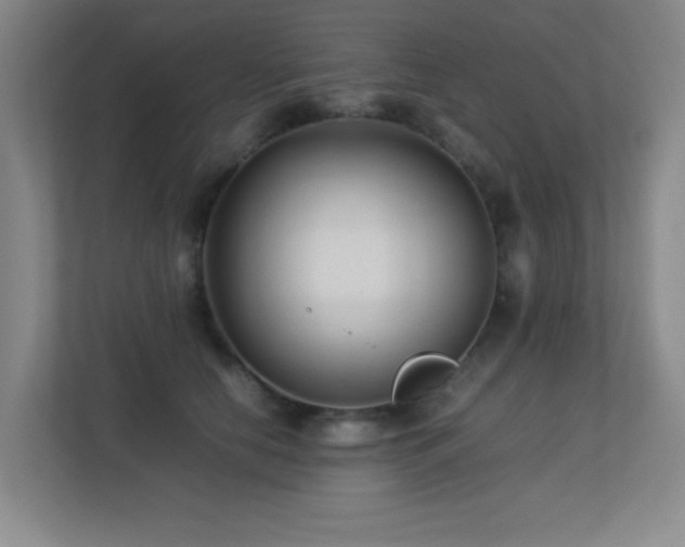 X0000113210658200909101133