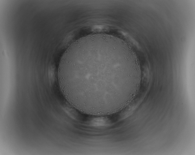 X0000113210659200909101133