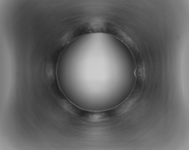 X0000113210662200909101133