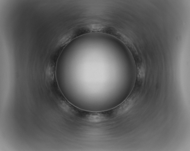 X0000113210666200909101133