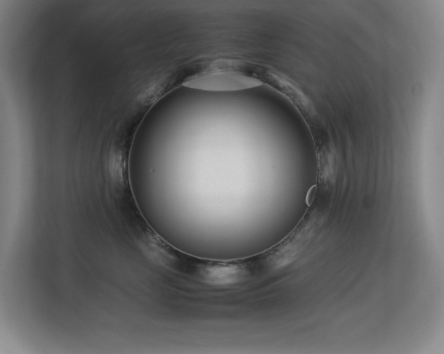 X0000113210669200909101133