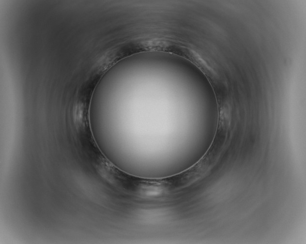 X0000113210671200909101133