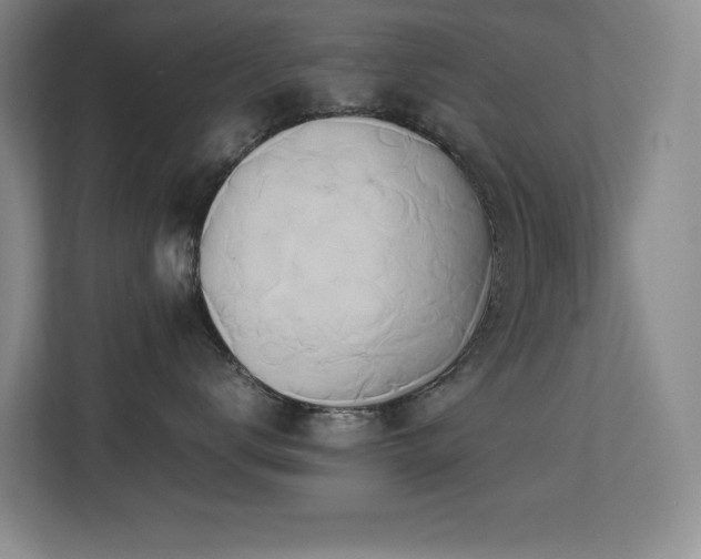 X0000113210672200909101133