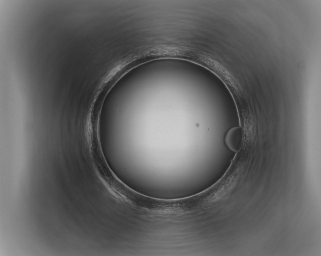 X0000113210674200909101132