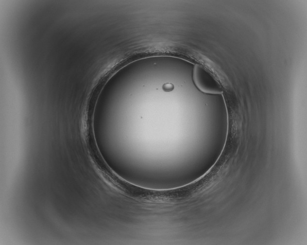 X0000113210677200909101132