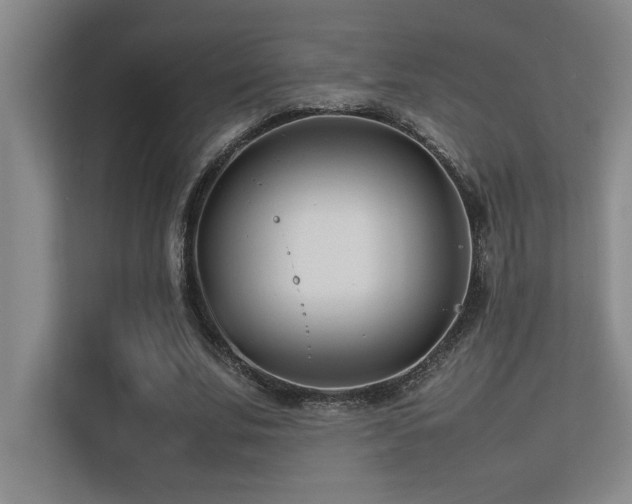 X0000113210679200909101132