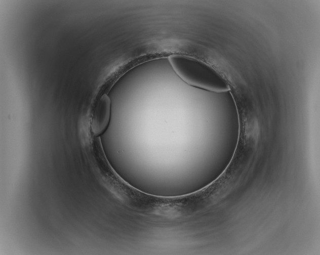 X0000113210680200909101132