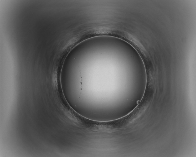 X0000113210681200909101132