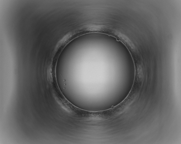 X0000113210682200909101132