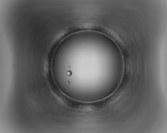 X0000113210683200909101132