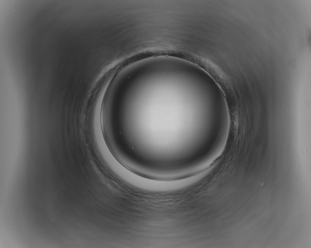 X0000113210684200909101132