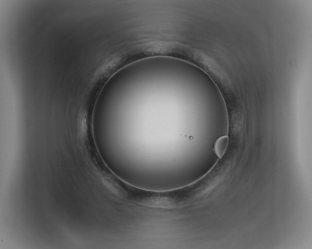 X0000113210685200909101132