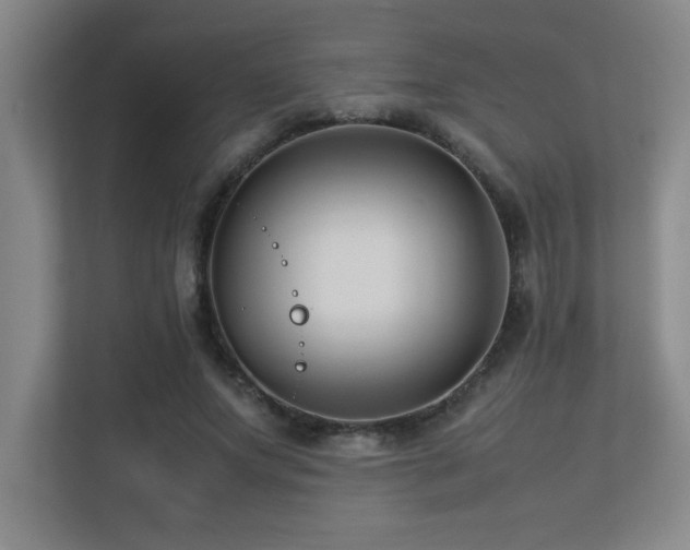 X0000113210687200909101132