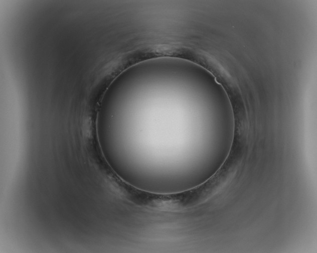 X0000113210689200909101132