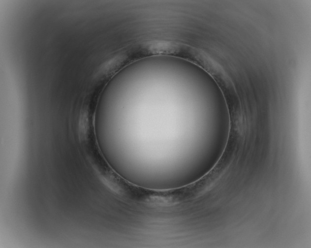 X0000113210690200909101132