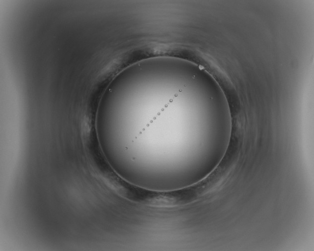 X0000113210691200909101132