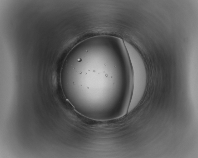 X0000113210692200909101132