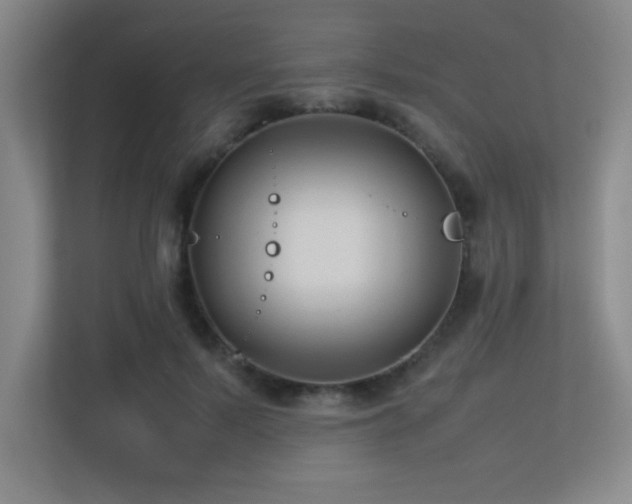 X0000113210695200909101132