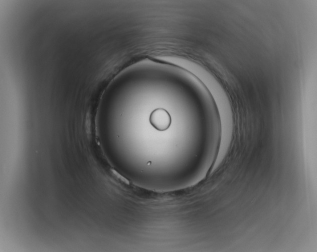 X0000113210696200909101132