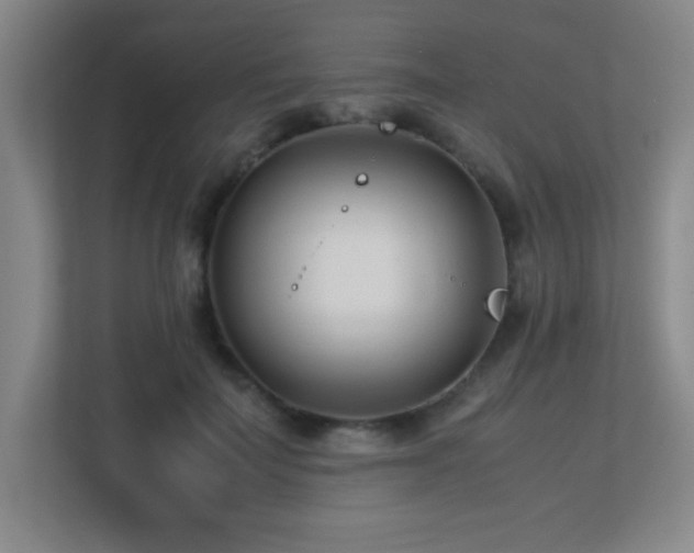 X0000113210699200909101132