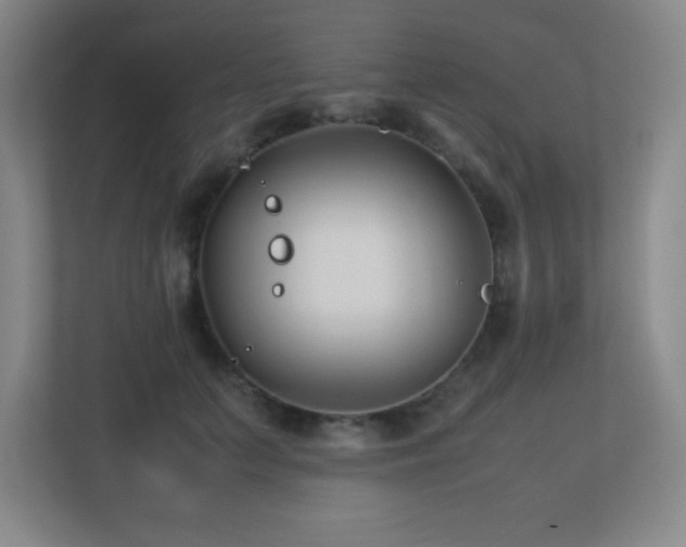 X0000113210703200909101132