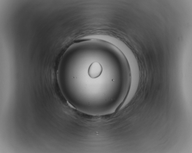 X0000113210704200909101132