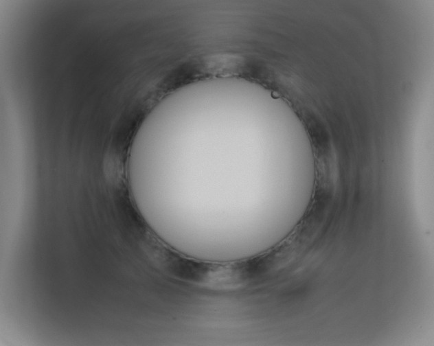 X0000113210705200909101132