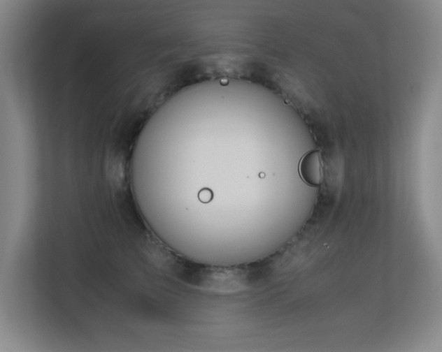 X0000113210709200909101132