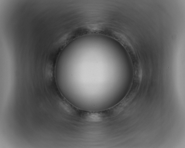 X0000113210710200909101132