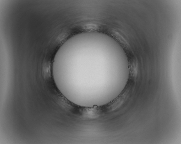 X0000113210717200909101132