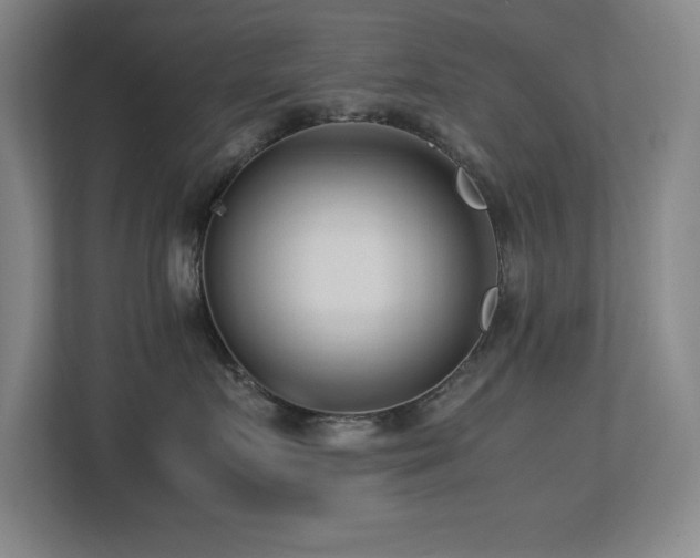 X0000113210719200909101132