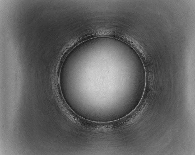 X0000113210721200909101131