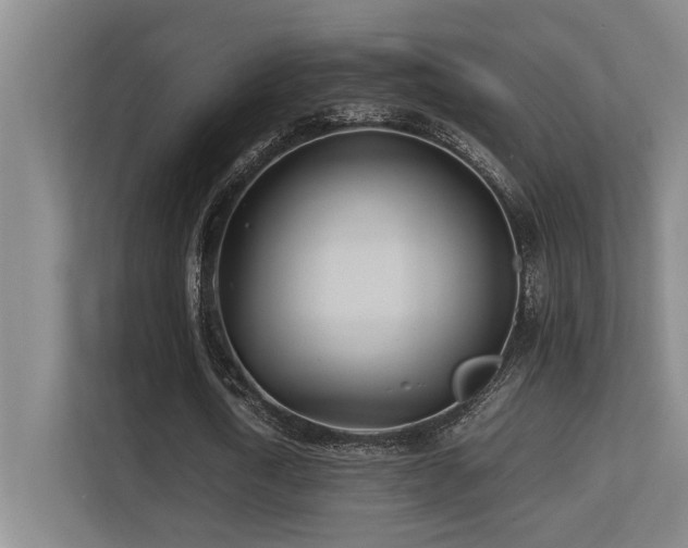 X0000113210722200909101131