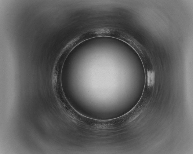 X0000113210723200909101131