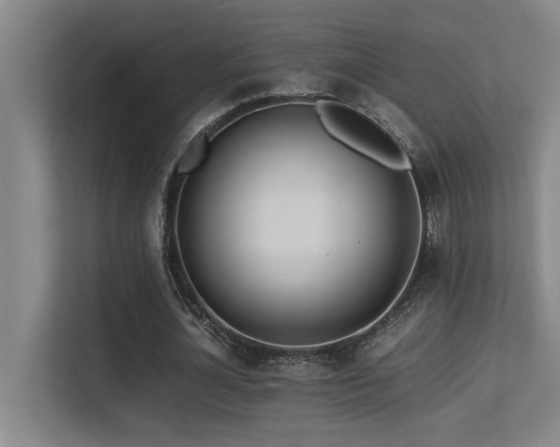 X0000113210724200909101131