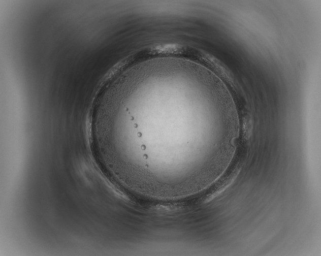 X0000113210725200909101131