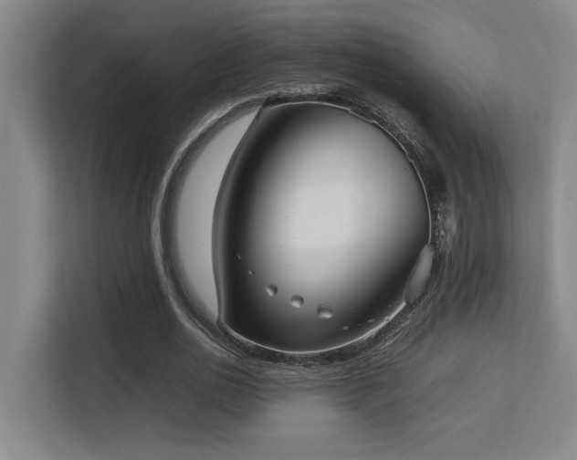 X0000113210726200909101131