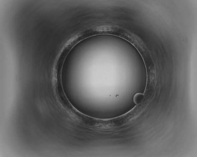 X0000113210727200909101131