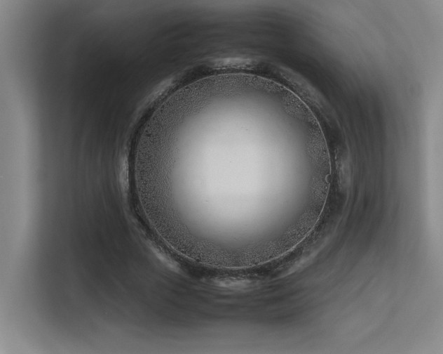 X0000113210729200909101131